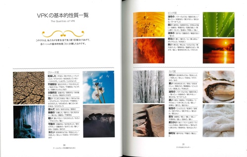 本当の自分をとりもどすアーユル-ヴェーダ – 丸善ジュンク堂書店ネット