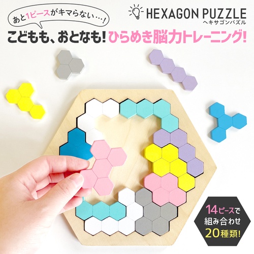 ✨パズルページ✨ 木製！ひらめき 図形パズル HEXAGON PUZZLE（ヘキサゴンパズル