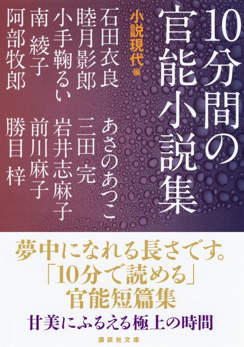 官能小説まとめ売り　計８５冊 10分間の官能小説集 他アダルト本2冊 - メルカリ