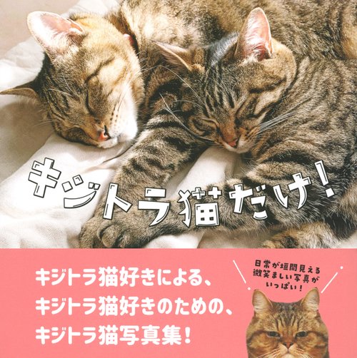 キジトラ猫だけ！ – 丸善ジュンク堂書店ネットストア