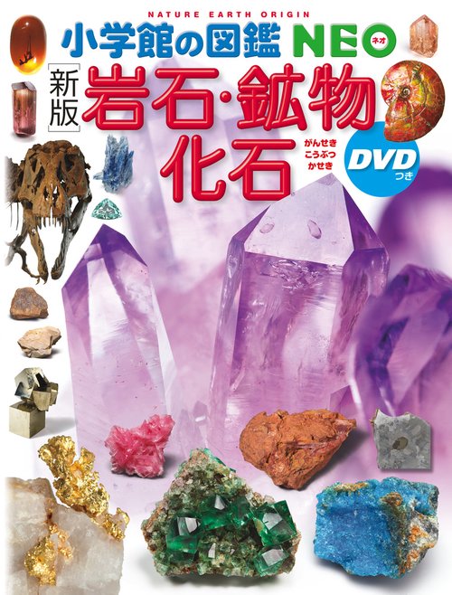 新一般地質学 日本砿鉱物趣味の会 地質学 希少 レア 初版本 です。 新一般地質学 日本砿鉱物趣味の会 地質学 希少 レア 初版本 です