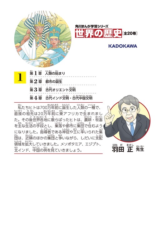 ⭐︎合計33000円分⭐︎世界の歴史（ほぼ全巻）＋日本の歴史14冊プラスα 完全図解版 この一冊で日本史と世界史が面白いほどわかる