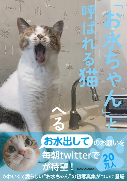 お水ちゃん」と呼ばれる猫 – 丸善ジュンク堂書店ネットストア