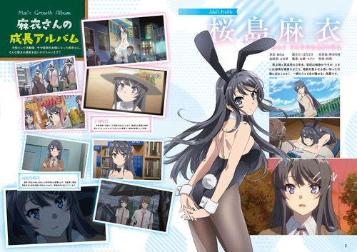 青春ブタ野郎はバニーガール先輩の夢を見ない　桜島麻衣　バースデーセット キャラクターアニバーサリーシリーズ 青春ブタ野郎はバニーガール先輩