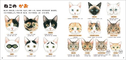 ねこのずかん – 丸善ジュンク堂書店ネットストア