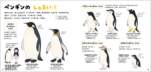 ペンギンのずかん – 丸善ジュンク堂書店ネットストア