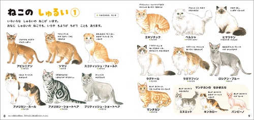 ねこのずかん – 丸善ジュンク堂書店ネットストア
