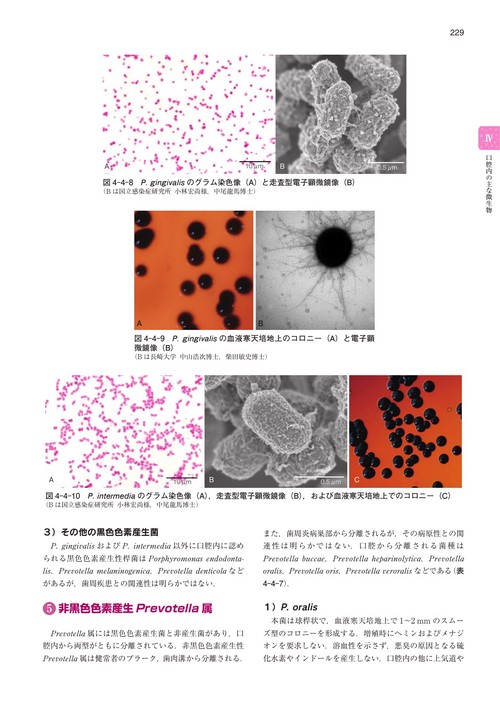 口腔微生物学・免疫学 第5版 – 丸善ジュンク堂書店ネットストア