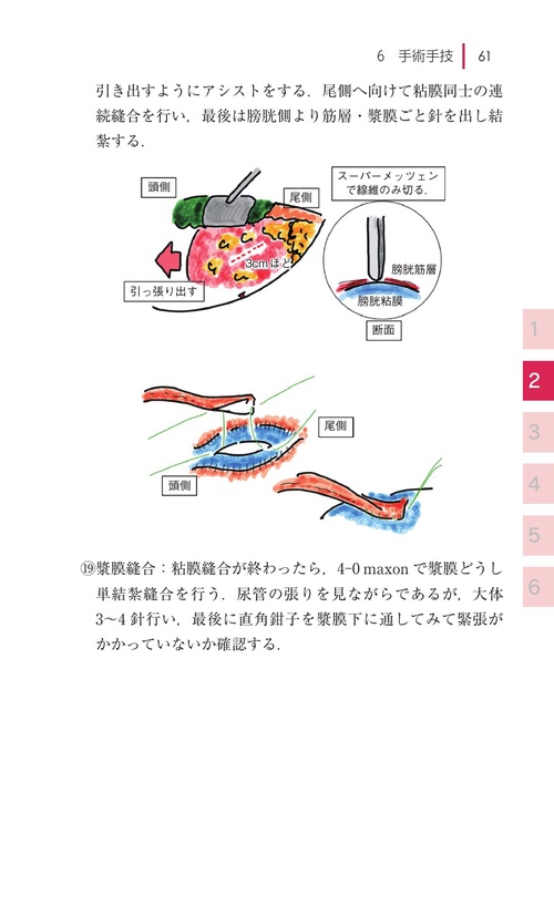 女子医大式 腎移植ポケットマニュアル – 丸善ジュンク堂書店ネットストア