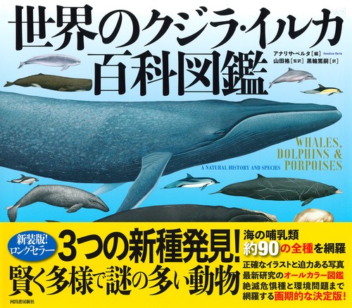 世界のクジラ・イルカ百科図鑑 – 丸善ジュンク堂書店ネットストア