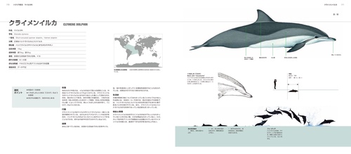 世界のクジラ・イルカ百科図鑑 – 丸善ジュンク堂書店ネットストア