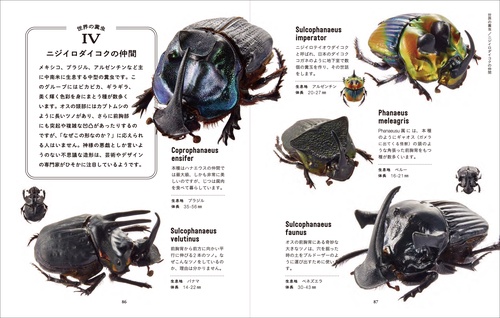 たくましくて美しい 糞虫図鑑 – 丸善ジュンク堂書店ネットストア