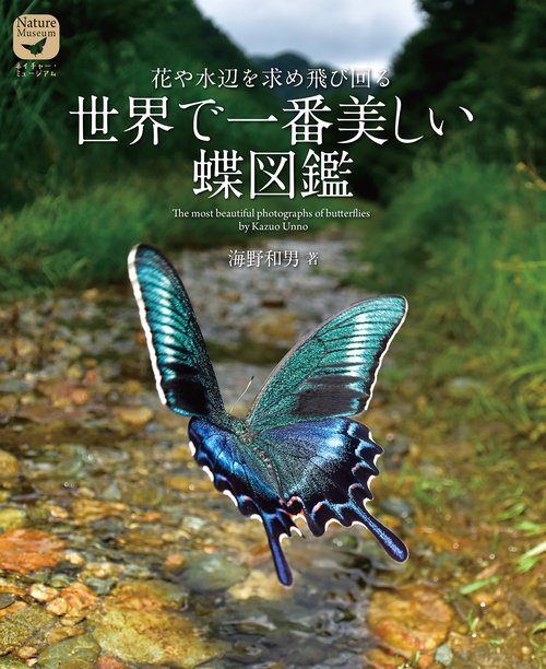 世界で一番美しい蝶図鑑 – 丸善ジュンク堂書店ネットストア