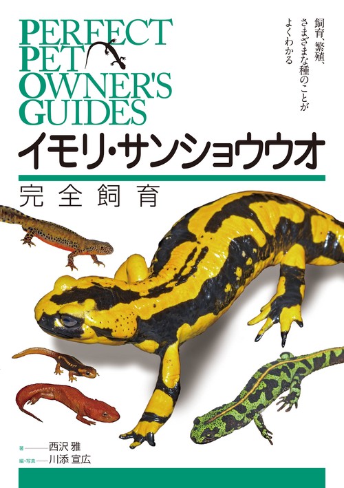 イモリ？どじょう？ 文鎮 イモリ？どじょう？ 文鎮