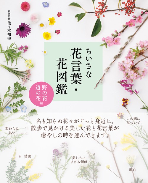 ちいさな花言葉・花図鑑 ＜野の花・道の花編＞ – 丸善ジュンク堂書店