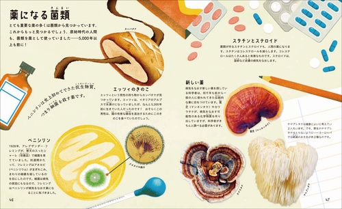 中古本】菌類の事典 菌類の事典 | 日本菌学会 |本 | 通販 | Amazon