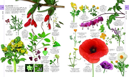 地球博物学大図鑑 – 丸善ジュンク堂書店ネットストア