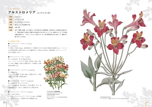 花の博物図鑑 – 丸善ジュンク堂書店ネットストア