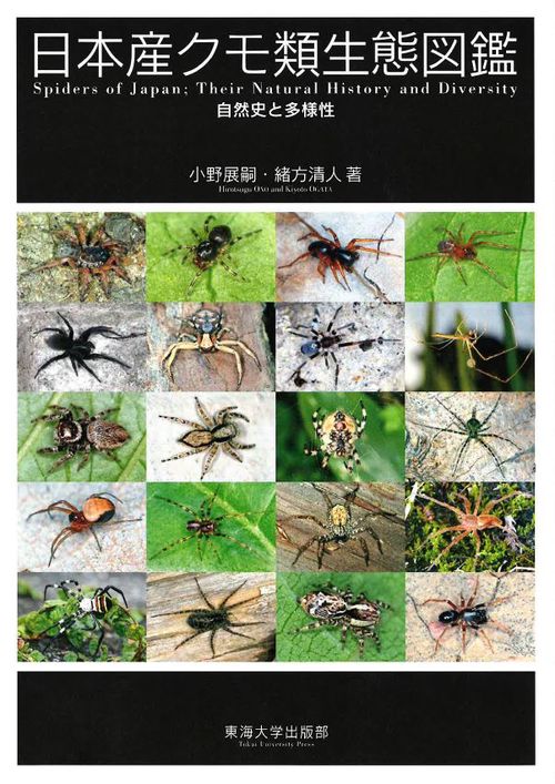 日本産クモ類生態図鑑 自然史と多様性 – 丸善ジュンク堂書店