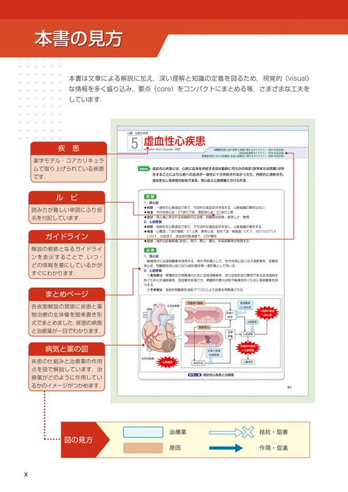 薬物治療学 VISUAL CORE PHARMA visual core pharma 薬物治療学 – 丸善ジュンク堂書店ネットストア
