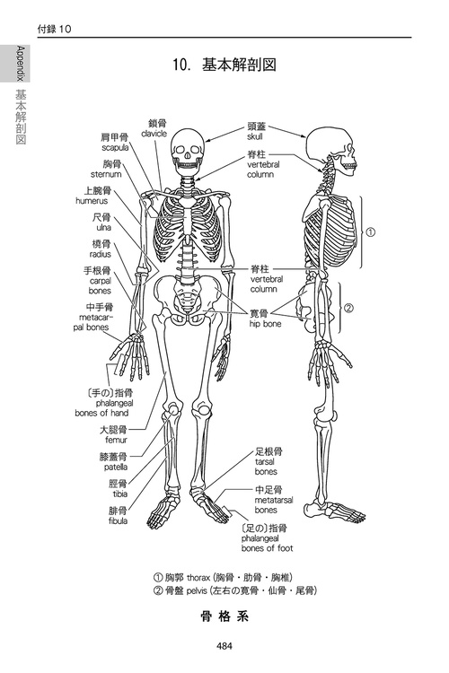 プラクティカル医学略語辞典 第8版 – 丸善ジュンク堂書店ネットストア