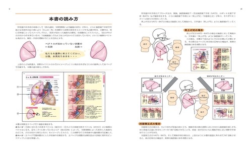 ベクトル視点でやさしく読み解く呼吸器外科手術解剖イラスト – 丸善