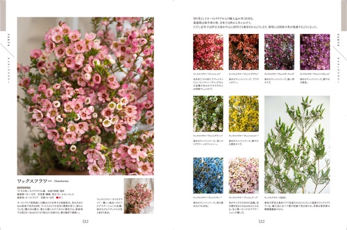 東京植物図譜の花図鑑1000 – 丸善ジュンク堂書店ネットストア
