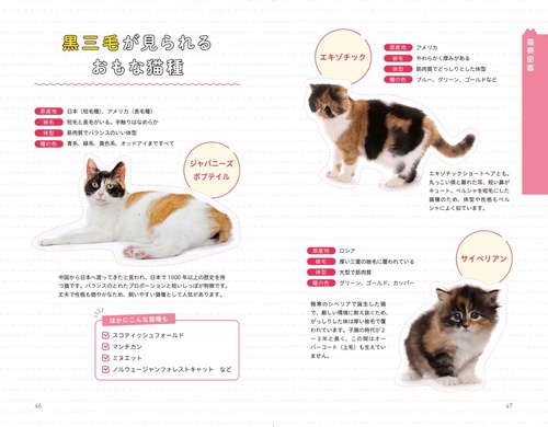猫柄図鑑 – 丸善ジュンク堂書店ネットストア