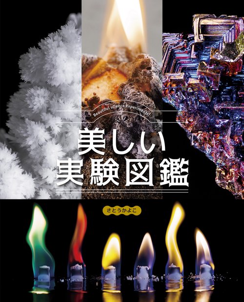 美しい実験図鑑 世界でいちばん美しい34の実験たち – 丸善ジュンク堂