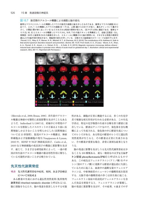 カールソン神経科学テキスト ー脳と行動ー 原書13版 – 丸善ジュンク堂