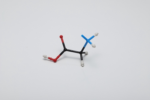 HGS分子構造模型 立体化学学生用セット – 丸善ジュンク堂書店ネットストア
