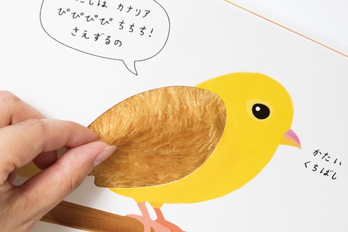 新装改訂版 さわれるまなべる みぢかなどうぶつ – 丸善ジュンク堂書店