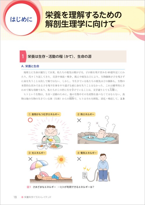 解剖生理学 人体の構造と機能 第3版 – 丸善ジュンク堂書店ネットストア