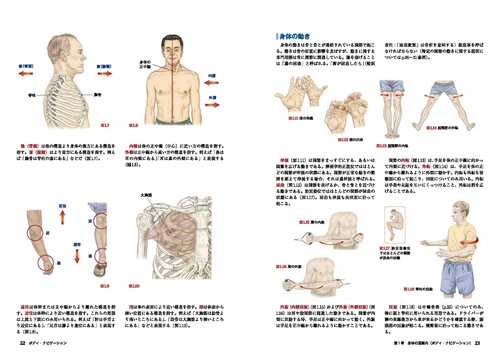 改訂第6版]ボディ・ナビゲーション – 丸善ジュンク堂書店ネットストア