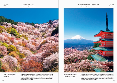 郁恵の季節 Wani Books 写真集　初版本 郁恵の季節 Wani Books 写真集 初版本 セール