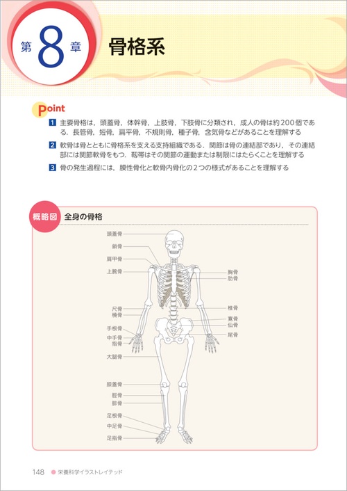 解剖生理学 人体の構造と機能 第3版 – 丸善ジュンク堂書店ネットストア