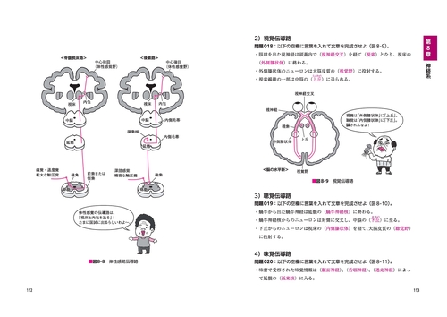 よく出るぜ！ここがポイント でる兄 魂の解剖学！ あん摩マッサージ