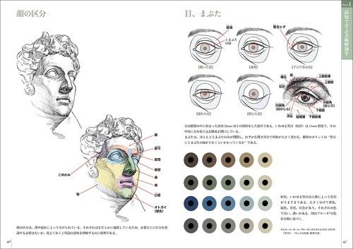 解剖学・人物画・デッサン技法 3冊セット＋スケッチブック付き。 スケッチで学ぶ美術解剖学｜画材・文具雑貨の通販 Toolswebshop