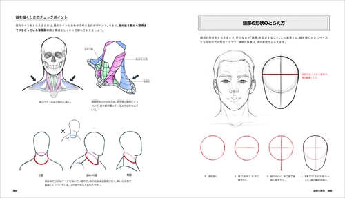 人体ドローイングの基礎 アナトミーからパースまで – 丸善ジュンク堂