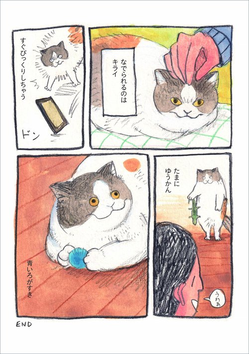 三毛猫モブは猫缶を稼ぎたい Mobu's Diary – 丸善ジュンク堂書店