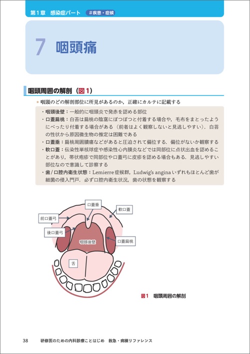 研修医のための内科診療ことはじめ 救急・病棟リファレンス　ほぼ未使用 研修医のための内科診療ことはじめ 救急・病棟リファレンス - 羊土社