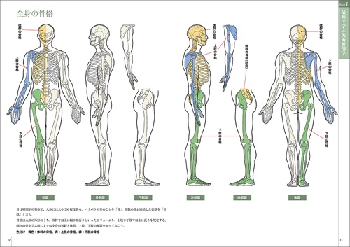 解剖学講義 41dhfCHUc-L._UF350,350_QL50_.jpg