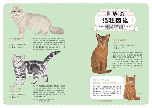 教養としての猫 思わず人に話したくなる猫知識151 – 丸善ジュンク堂
