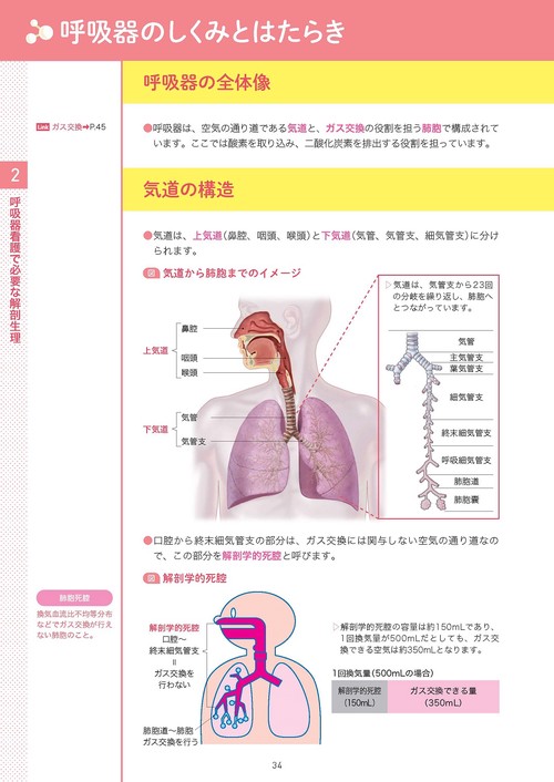 本当に大切なことが1冊でわかる呼吸器 – 丸善ジュンク堂書店ネットストア