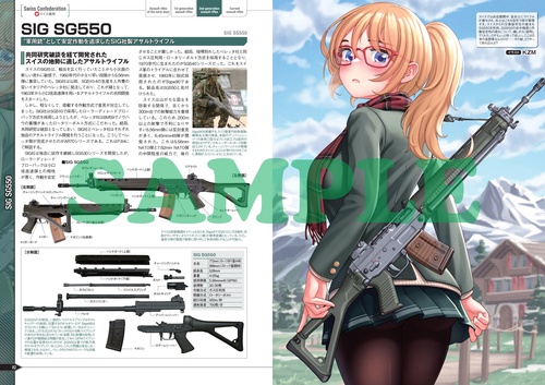 DVD マグプル流戦術カービン銃技法 全7巻　MAGPUL DYNAMICS ガン＆ガール イラストレイテッド アサルトライフル・バトルライフル編