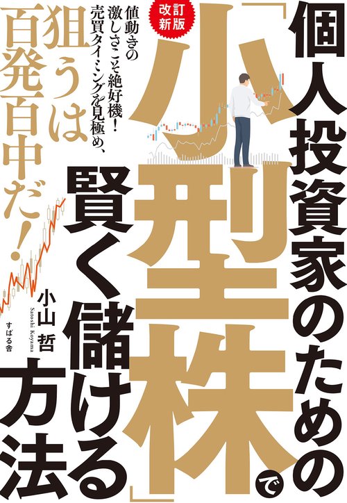 株式投資 個人投資家 ビジネス 経済 19冊セット 株式投資 個人投資家 ビジネス 経済 19冊セット 株式投資 個人