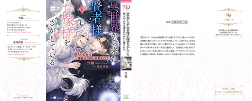 異世界から来た賢者様はお嫁様をさがしている 獣人の乙女は運命の