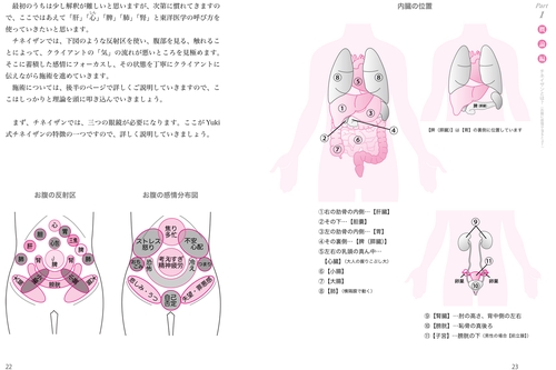 [状態良好]　気内臓療法　チ•ネイ•ザン Amazon.co.jp: チネイザン療法 電子書籍: Yuki: Kindleストア