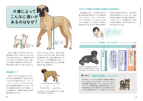 気持ちを知ればもっと好きになる！犬の教科書 – 丸善ジュンク堂書店