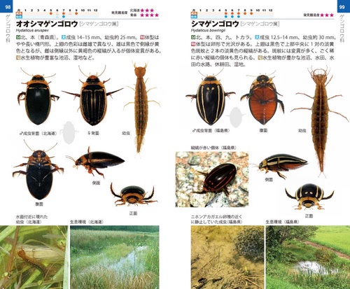 図説　日本のゲンゴロウ 図説日本のゲンゴロウ(森正人, 北山昭 著) / 古本、中古本、古